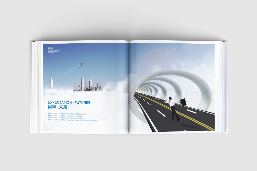 香洲区画册设计